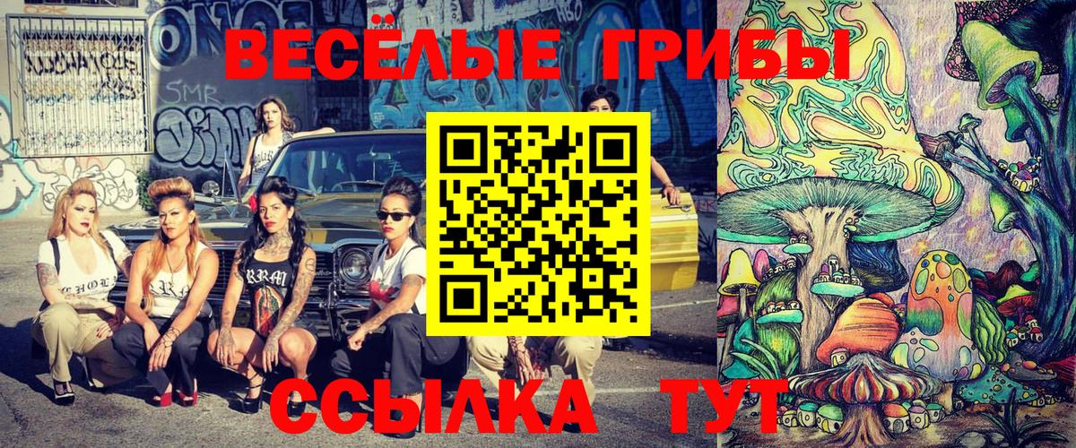 Псилоцибиновые грибы MAGIC MUSHROOMS Усть-Илимск
